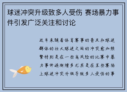 球迷冲突升级致多人受伤 赛场暴力事件引发广泛关注和讨论